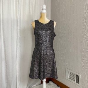 Fun Silver Sparkle One Clothing Skater Dress L